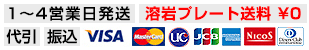 1~4営業日発送　代引　振り込み　各種クレジットカード　VISA MasterCard IC JCB American Xpress Nicos DinersClub